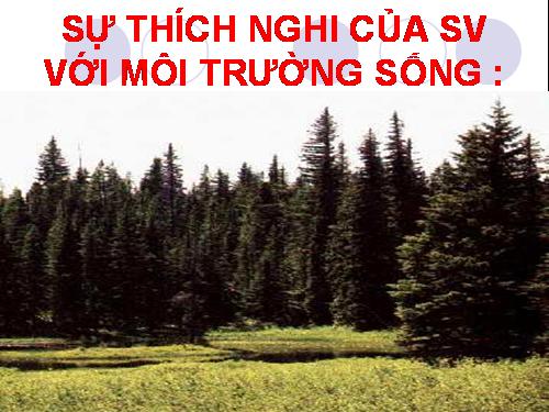 QUẦN THỂ& CÁC MỐI QUAN HỆ GIỮA CÁC CÁ THỂ TRONG QUẦN THỂ