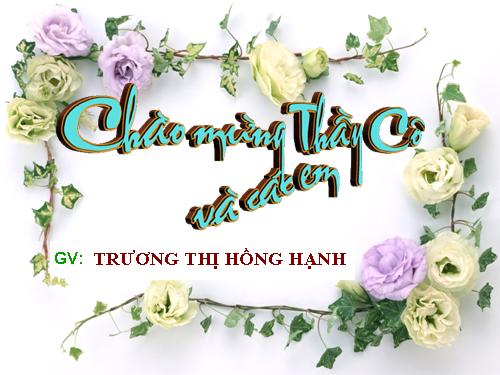 Bài 43. Trao đổi vật chất trong hệ sinh thái