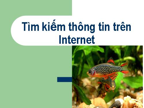 Tìm kiếm thông tin trên Internet