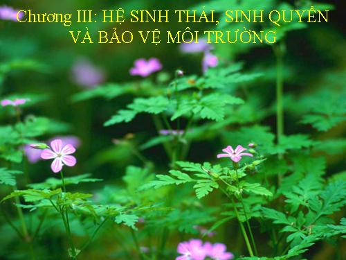 Bài 42. Hệ sinh thái