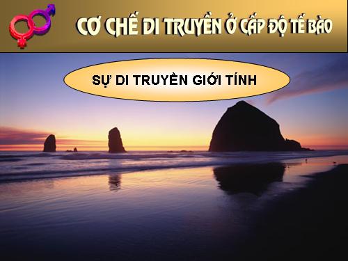 Sự di truyền giới tính