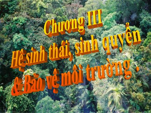 Bài 42. Hệ sinh thái