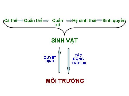 Bài 39. Biến động số lượng cá thể của quần thể sinh vật