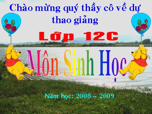 Bài 33. Sự phát triển của sinh giới qua các đại địa chất