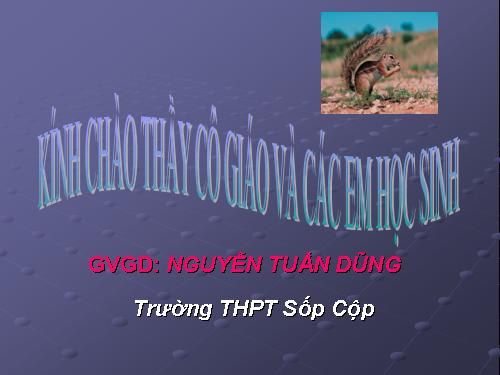 Bài 36. Quần thể sinh vật và mối quan hệ giữa các cá thể trong quần thể