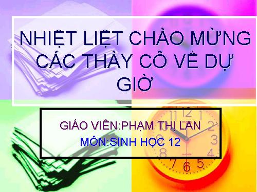 Bài 41. Diễn thế sinh thái