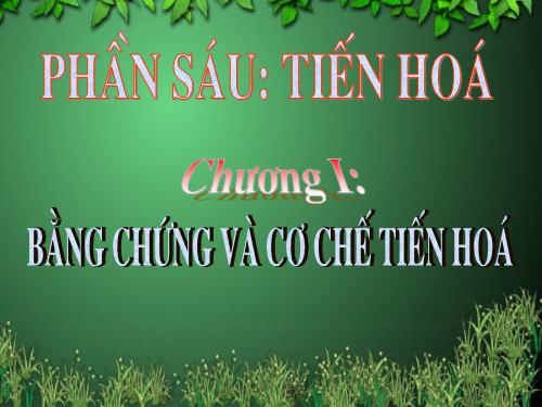 Bài 24. Các bằng chứng tiến hoá