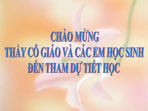 Bài 36. Quần thể sinh vật và mối quan hệ giữa các cá thể trong quần thể