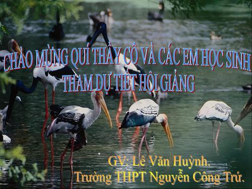 Bài 27. Quá trình hình thành quần thể thích nghi