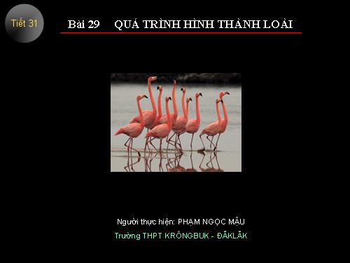 Bài 29. Quá trình hình thành loài