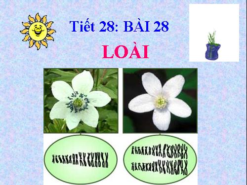 Bài 28. Loài