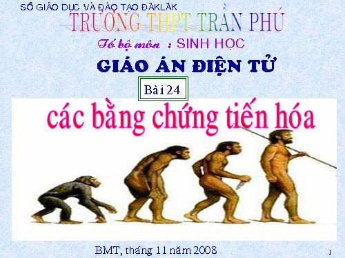 Bài 24. Các bằng chứng tiến hoá