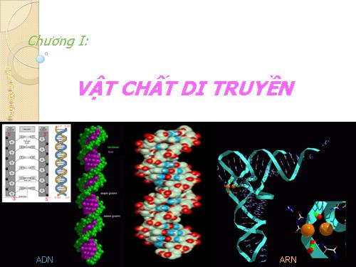 Vật chất di truyền.ppt