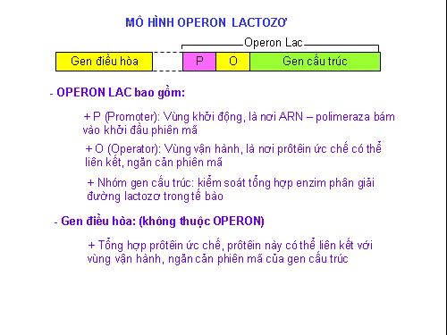 OPERON