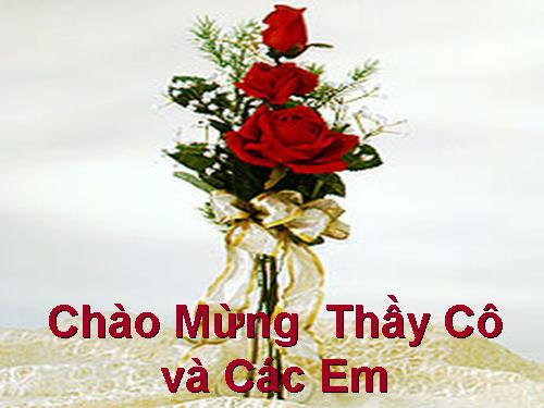 sưu tầm. cơ chế dịch mã