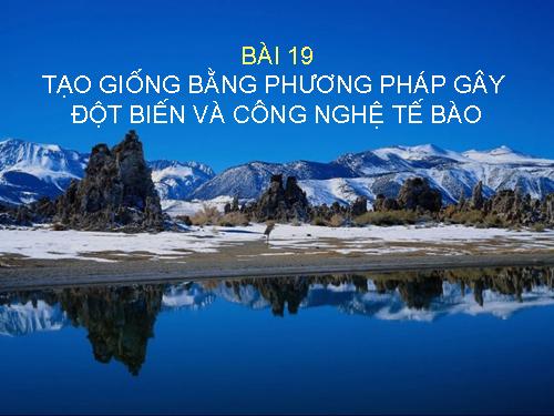 Bài 19. Tạo giống bằng phương pháp gây đột biến và công nghệ tế bào