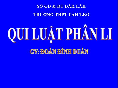 Bài 8. Quy luật Menđen: Quy luật phân li