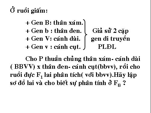 Bài 11. Liên kết gen và hoán vị gen