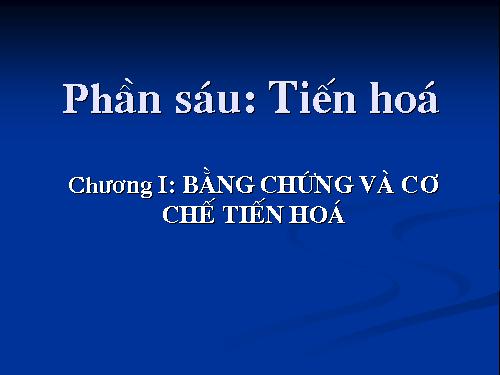 Bài 24. Các bằng chứng tiến hoá