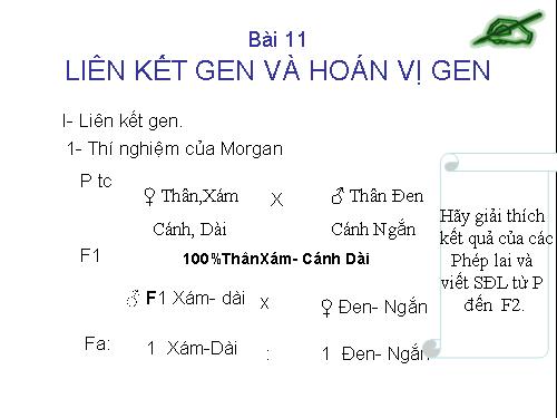 Bài 11. Liên kết gen và hoán vị gen