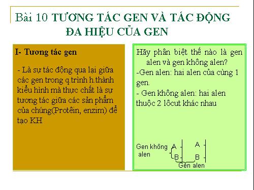 Bài 10. Tương tác gen và tác động đa hiệu của gen