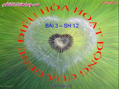 Bài 3. Điều hoà hoạt động gen