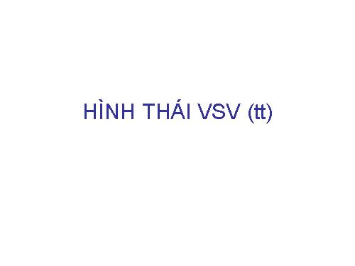 bai 2 hinh thai VSV