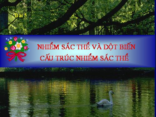 Bài 5. Nhiễm sắc thể và đột biến cấu trúc nhiễm sắc thể