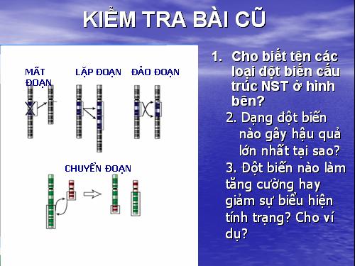 Bài 6. Đột biến số lượng nhiễm sắc thể