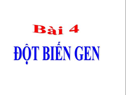 Bài 4. Đột biến gen