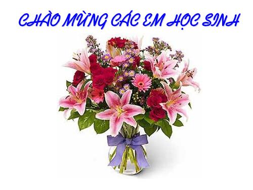 Bài 3. Điều hoà hoạt động gen