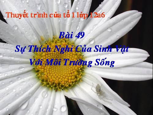 bai 49: su thich nghi cua sinh vat voi moi truong