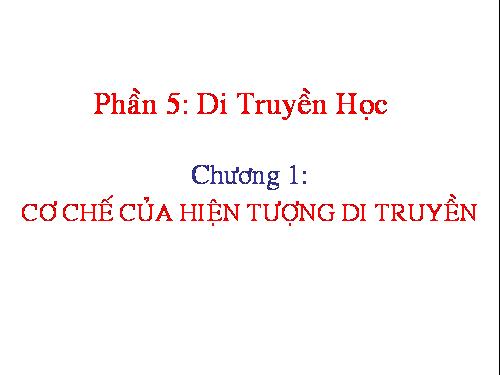 Bài 1. Gen, mã di truyền và quá trình nhân đôi ADN