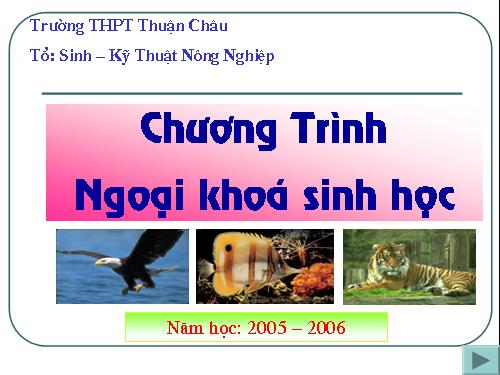 Giao an sinh trinh chieu hay