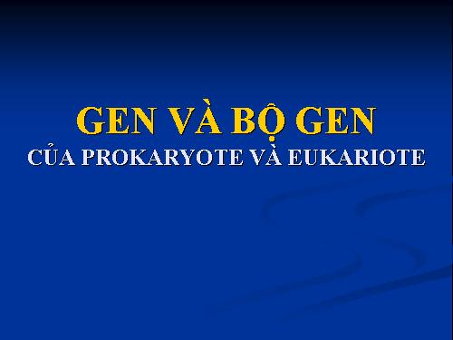 Bài 11. Liên kết gen và hoán vị gen