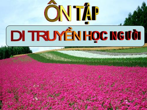 Bài 23. Ôn tập phần Di truyền học