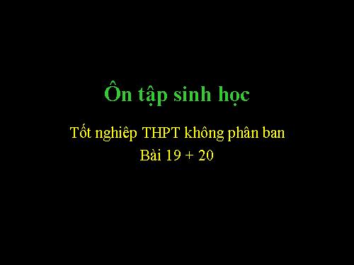 ôn tập