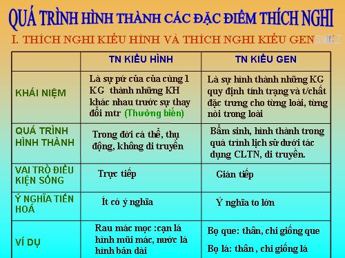 Bài 27. Quá trình hình thành quần thể thích nghi