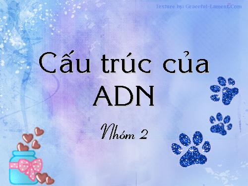 Bài 16. Cấu trúc di truyền của quần thể