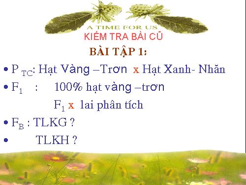 Bài 11. Liên kết gen và hoán vị gen