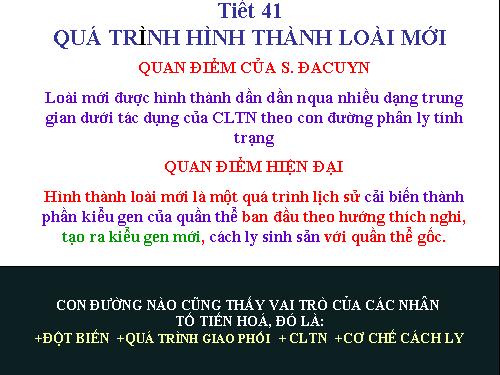 Bài 30. Quá trình hình thành loài (tiếp theo)