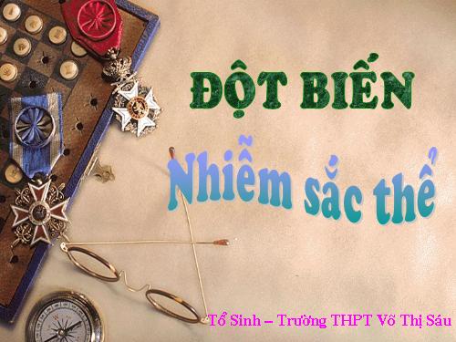 Đột biến nhiễm sắc thể