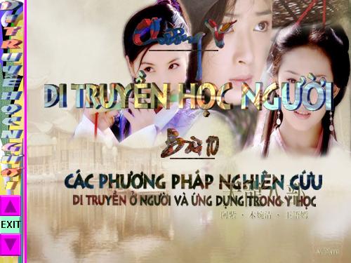 Di truyền học người T1