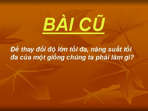 Các phương pháp lai