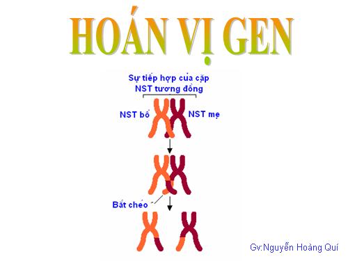 Hoán vị gen