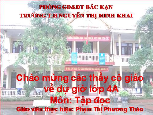 Tuần 12. Vẽ trứng