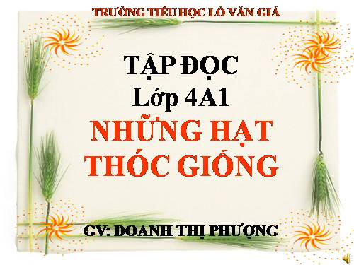 Tuần 5. Những hạt thóc giống