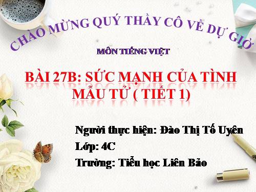 Tuần 27. Con sẻ