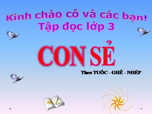 Tuần 27. Con sẻ