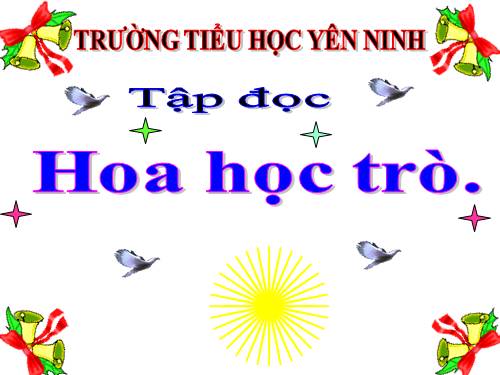 Tuần 23. Hoa học trò